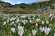 Al Passo di Budria (2216 m) al Rifugio Balicco e Bivacco Zamboni ad anello il 20 maggio 2020- FOTOGALLERY